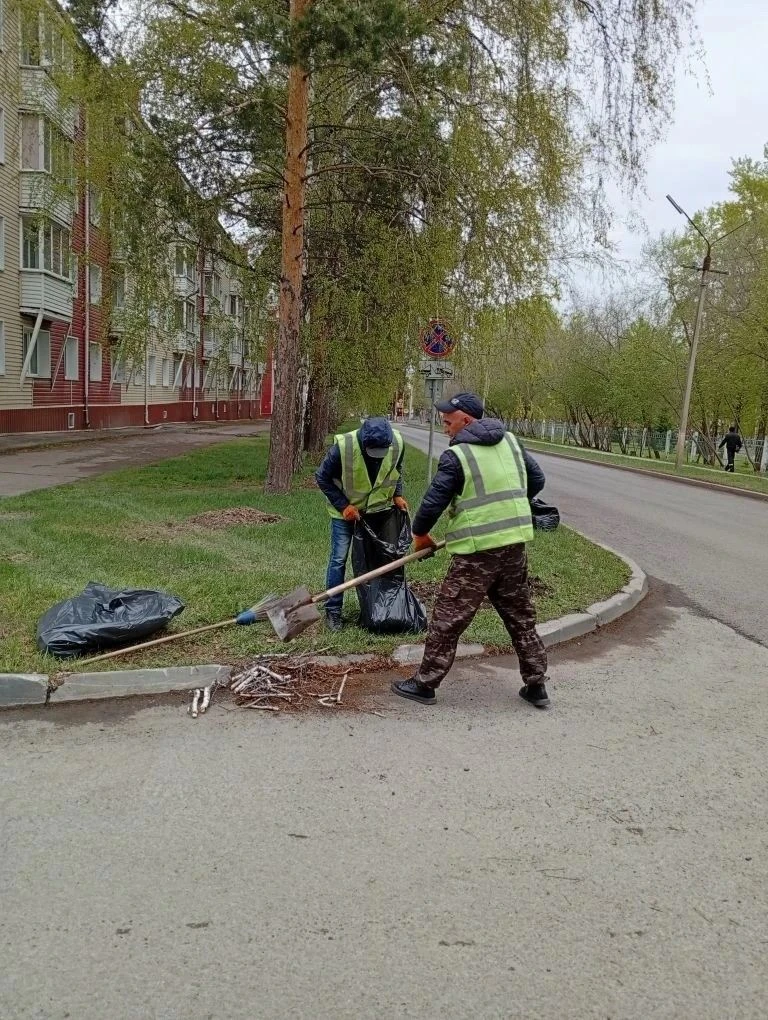 Летнее содержание общественных территорий — это комплекс мероприятий по поддержанию чистоты, порядка