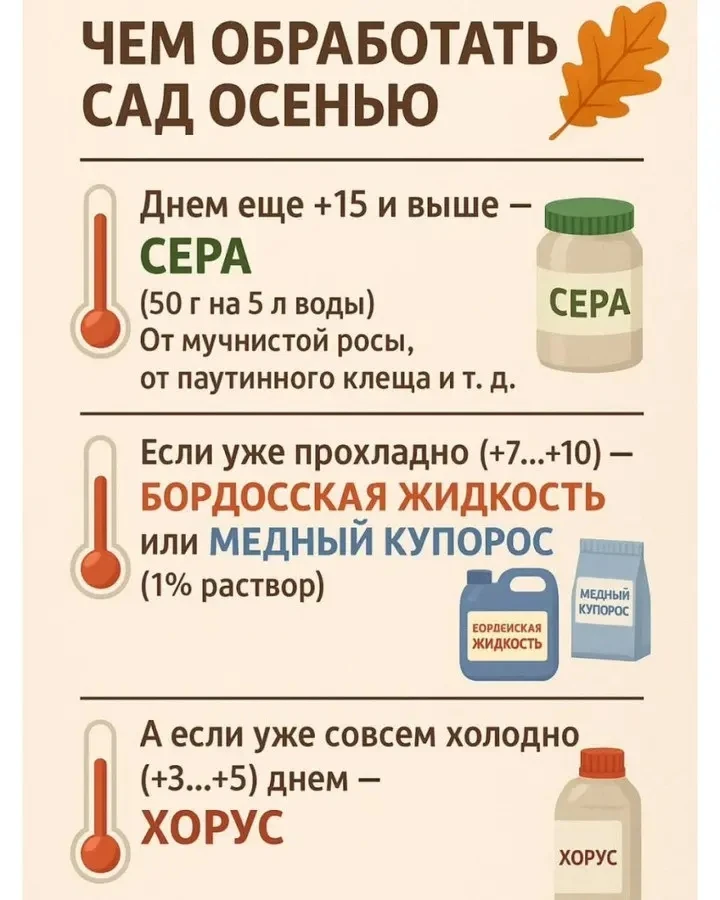 Препараты для обработки осеннего сада 
 На заметку ✅
Они помогают предотвратить развитие болезней и 