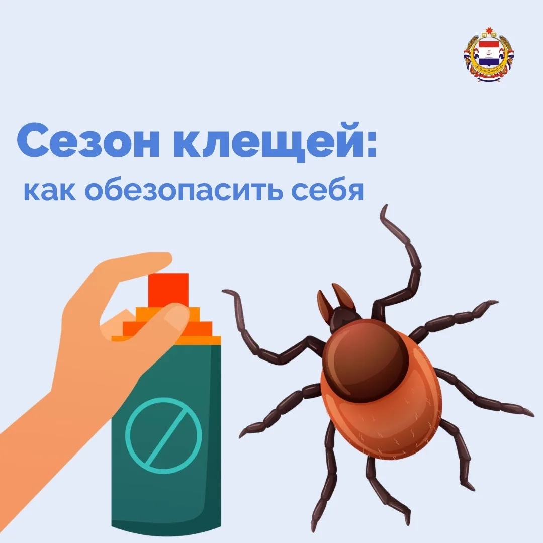 🌲 Осторожно, клещи!

❗️С наступлением тепла активизируются клещи – переносчики опасных заболеваний.