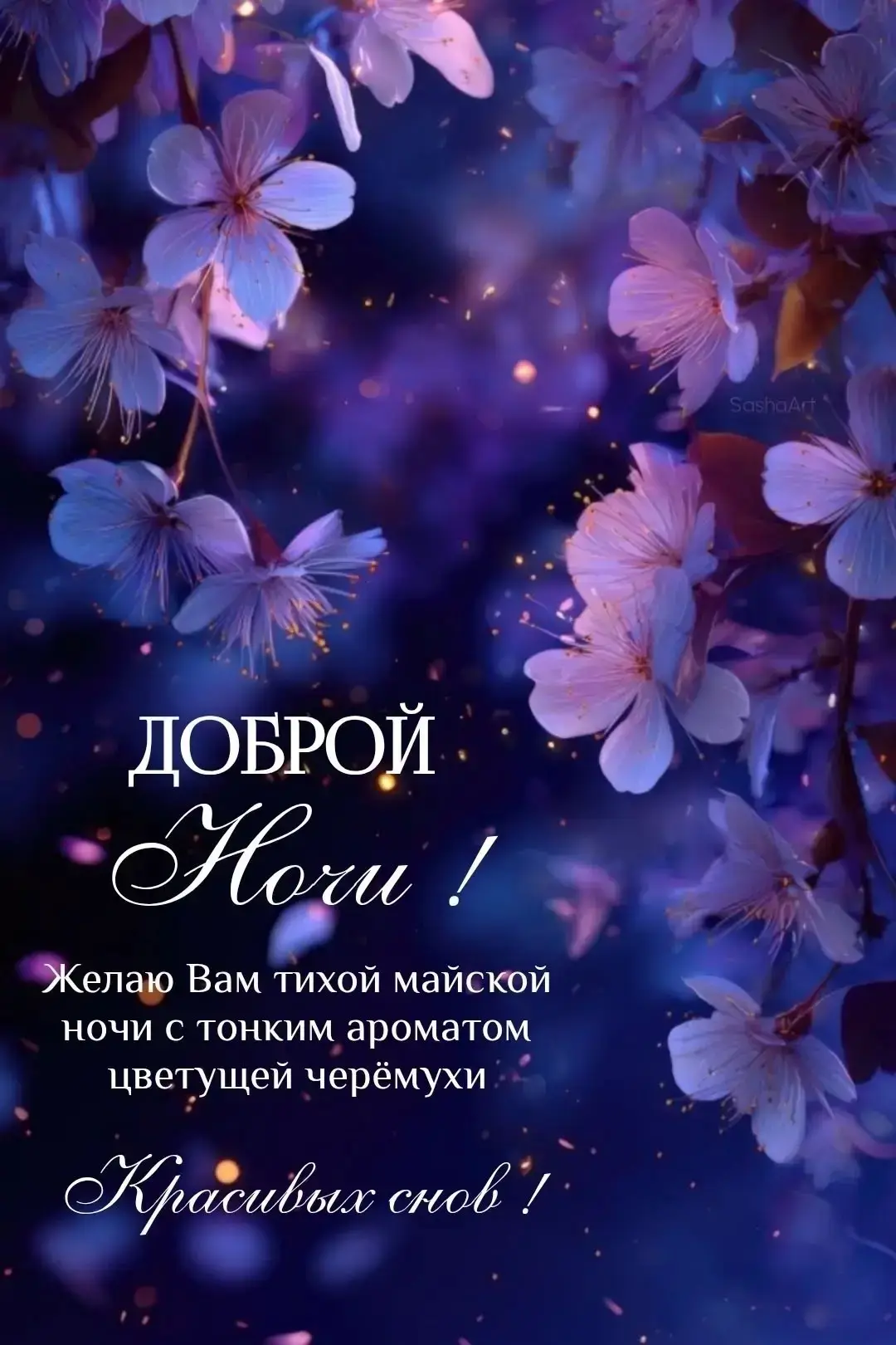 Галерея Открыток