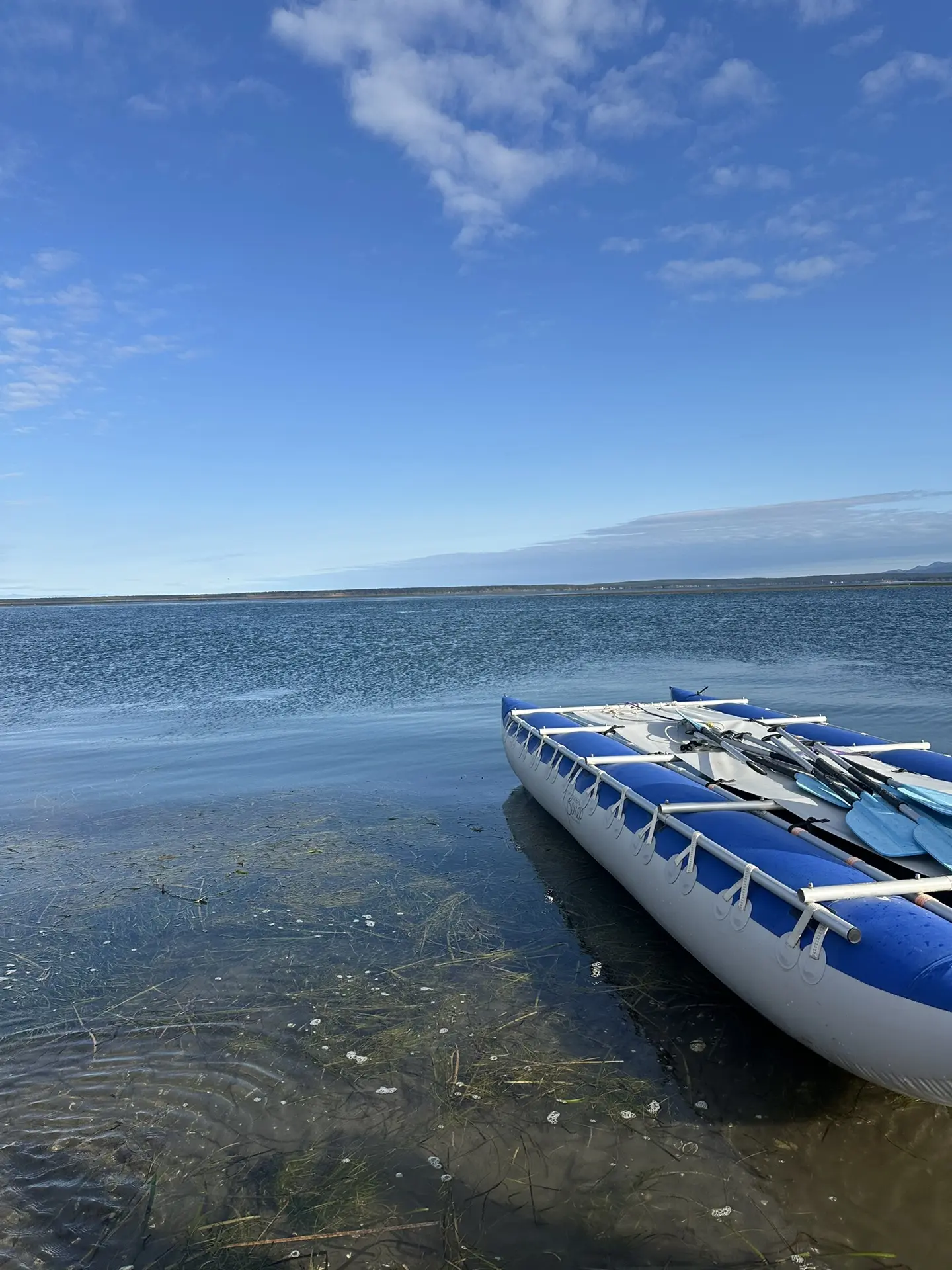 Выходной день — отличный повод устроить себе маленькое гастроприключение. 🌊

Сегодня отправились в 