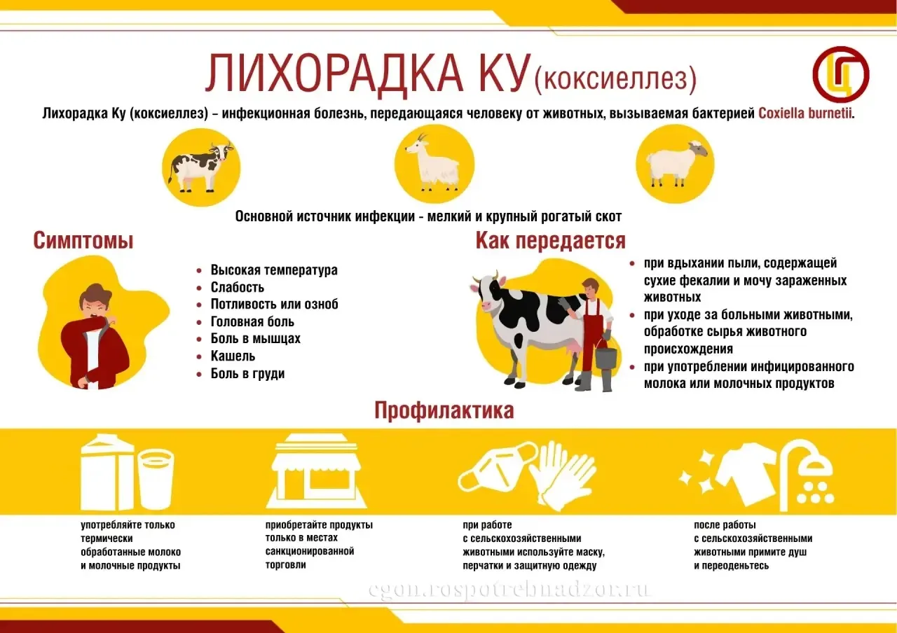 #АдминистрацияОпенкинскогосельскогопоселения