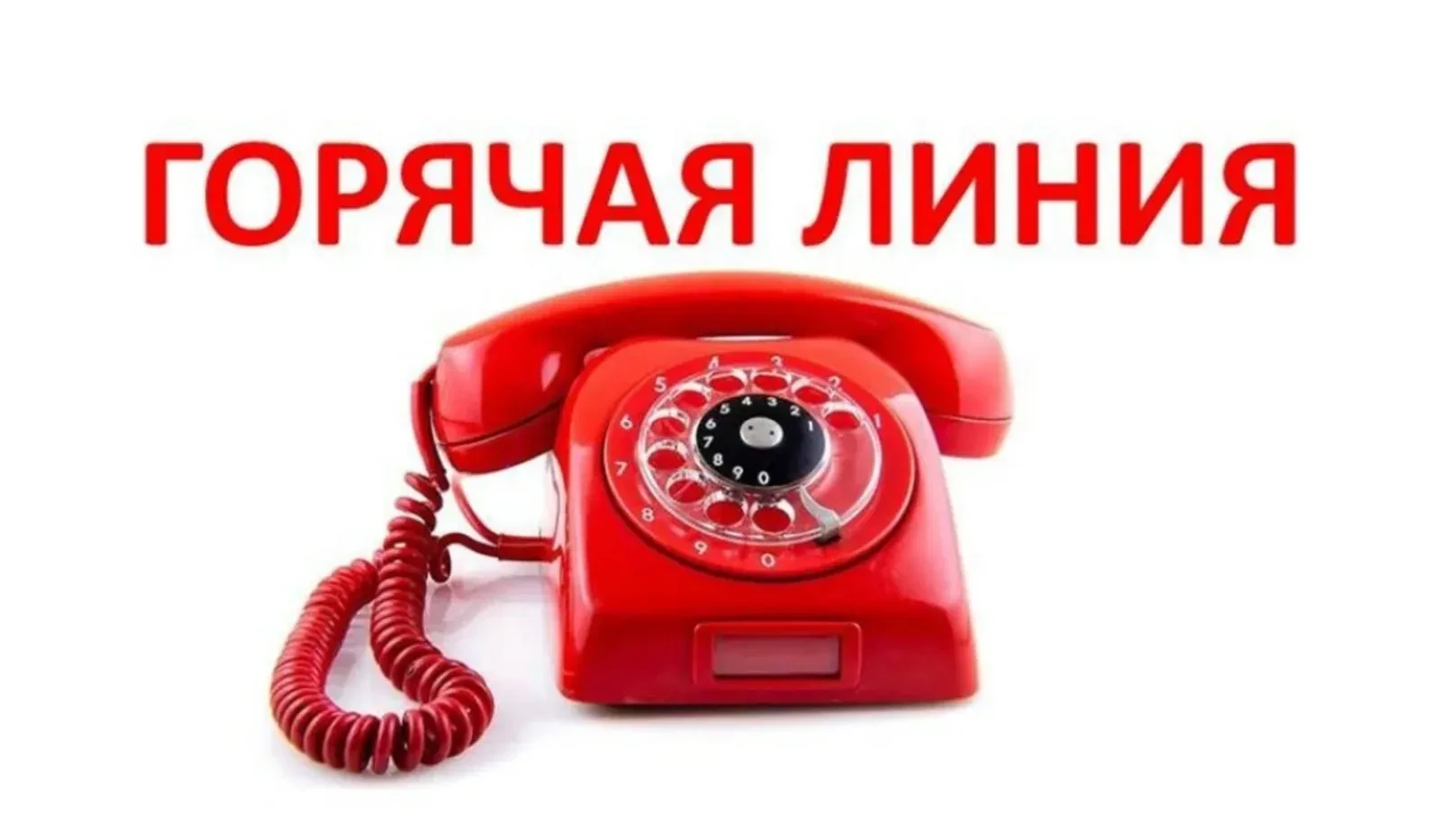 Прокуратурой Иркутской области организована работа «горячей линии» для жителей региона по вопросам с