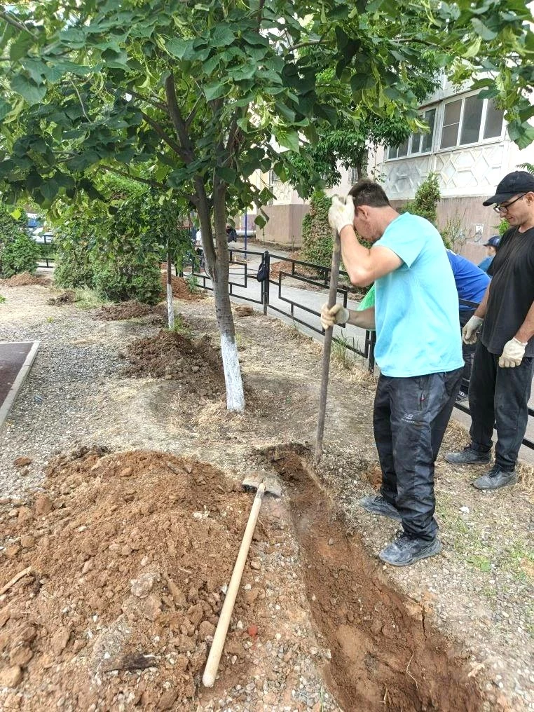🌳 Сохраняем красоту и свежесть зеленых насаждений!

По адресу: 2-я Зеленгинская 1 к 3 специалисты У