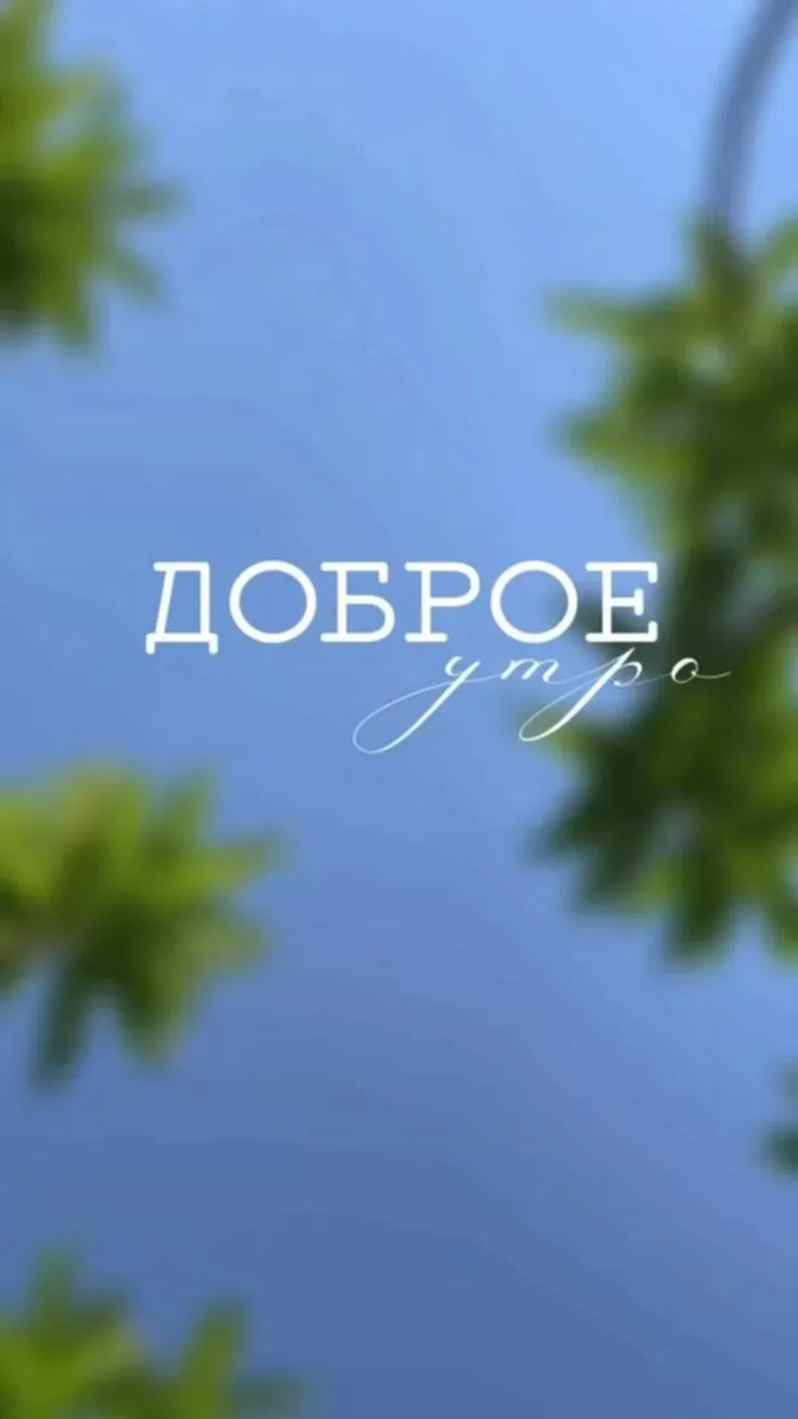 Доброе утро, уважаемые участники и сопровождающие Всероссийской олимпиады школьников по обществознан