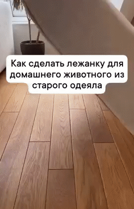 Канал "Котики Online"