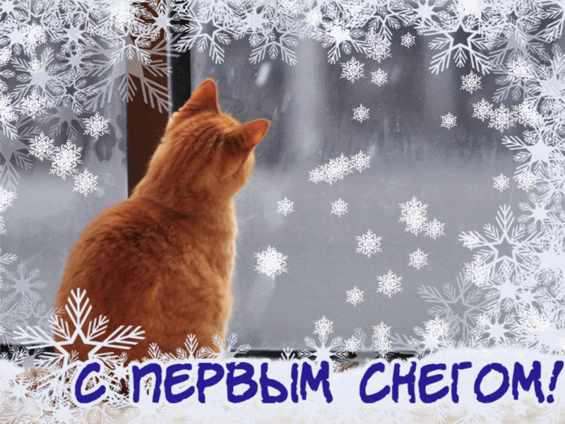 Всем доброе утро 🤗