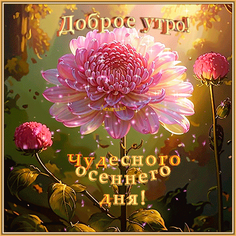Оставьте реакцию — это как тёплый привет! 💖