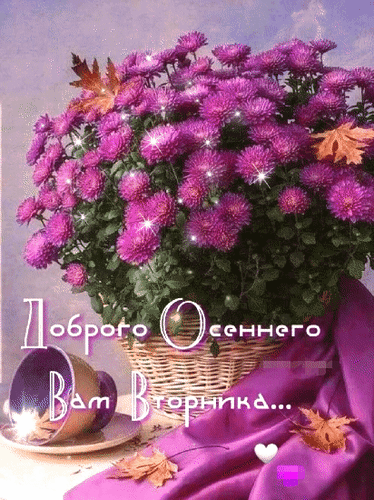❤️Дарим эмоции по МАКСимуму ✨