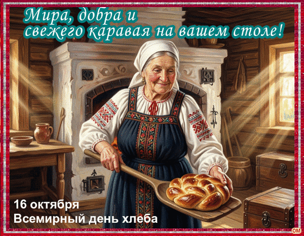 ЖИВЫЕ ОТКРЫТКИ🫶🏻