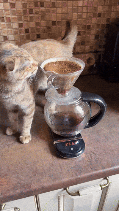 Столько дел переделал сегодня…Фух, устал… Как сложно жить…😸