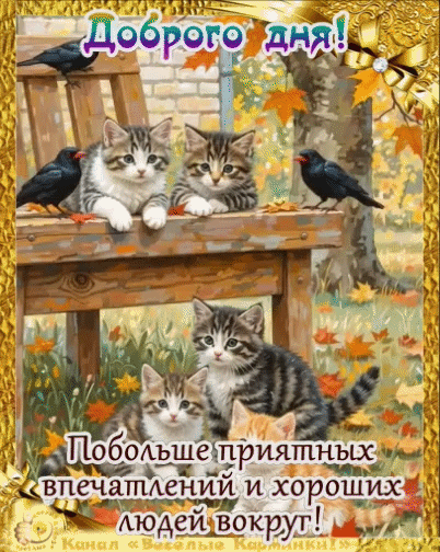 Канал Весёлые картинки!