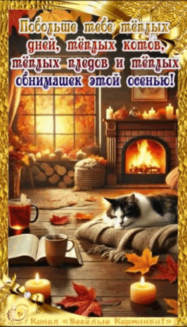 Канал Весёлые картинки!