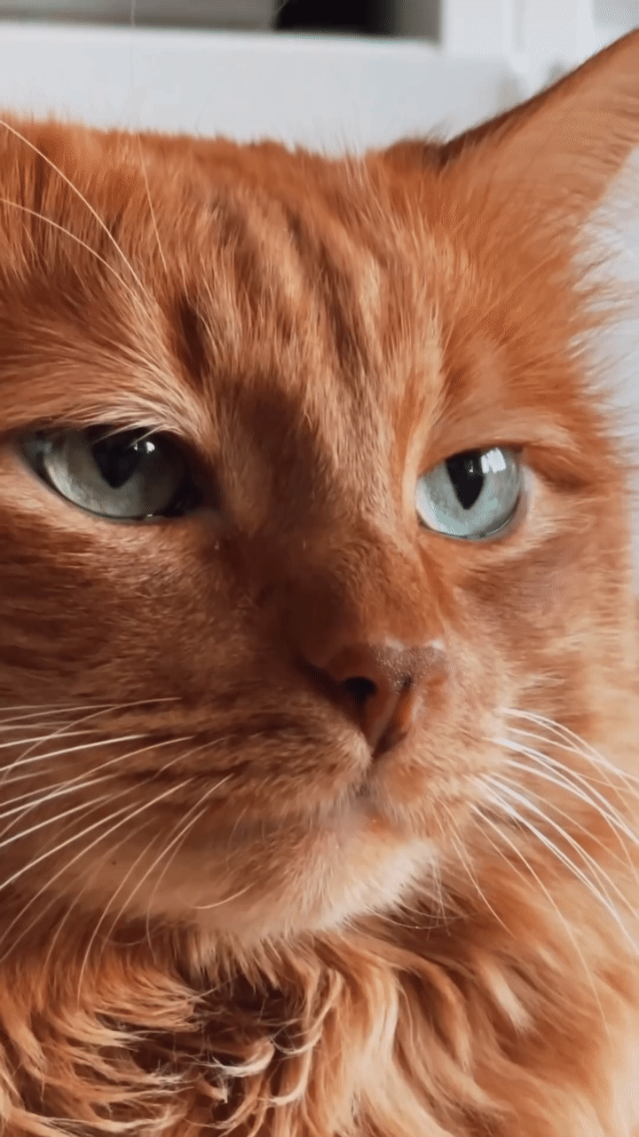 Осенняя тоска. И я под цвет природы…