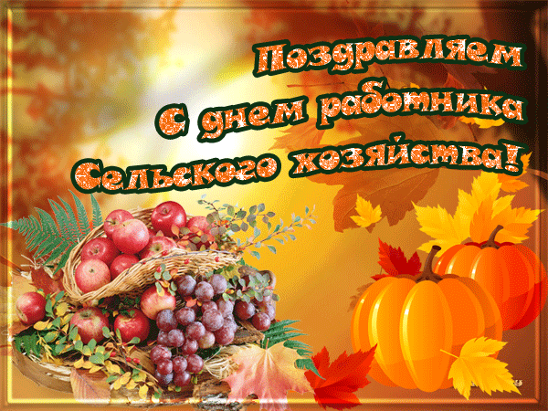 С праздником, коллеги! 🙂