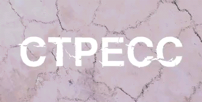 Сᴛρᥱᥴᥴ ᥰρᥙ хρ᧐нᥙчᥱᥴκ᧐ʍ ᥰᥲнκρᥱᥲᴛᥙᴛᥱ — фактор, который недооценивают, хотя напрямую он же...