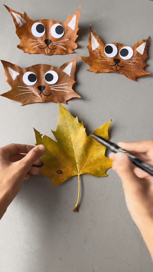 ОСЕННЯЯ ИДЕЯ 😺🍁