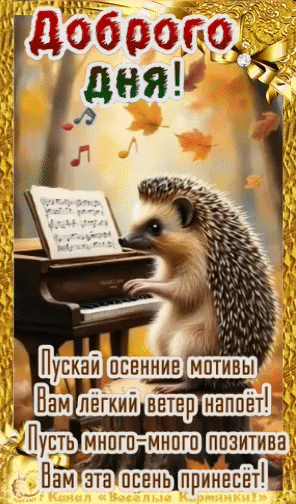 Канал Весёлые картинки!