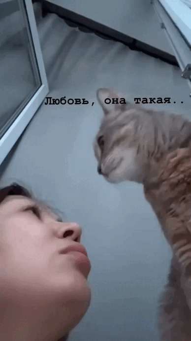 Добрый Мурзик 😻