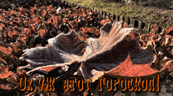 ГОРОСКОП 9 ОКТЯБРЯ