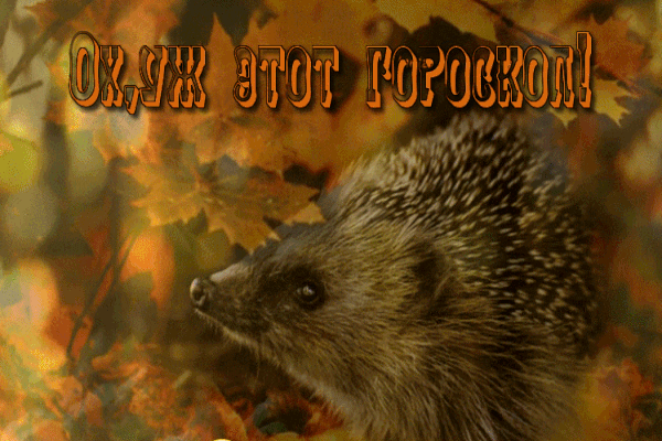 ГОРОСКОП 8 ОКТЯБРЯ.