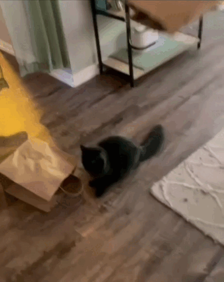 ВСЕ ПАКЕТИКИ МИРА МОИ ! 😺
