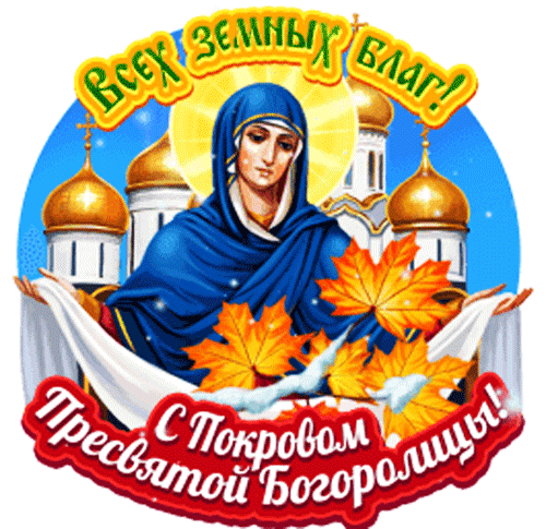ЖИВЫЕ ОТКРЫТКИ🫶🏻