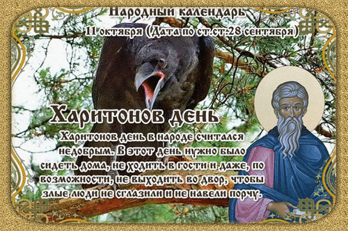 🍂 11 октября — Харитонов день
