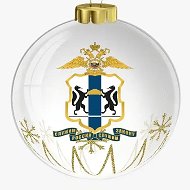 Канал Полиция54 в мессенджере MAX