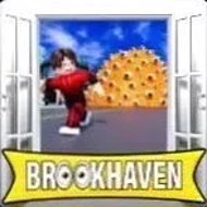 БРУКХЕВЕН / BROOKHAVEN 🏡