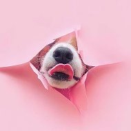BEAUTY TIME | Антонина