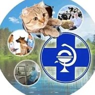 ГБУ Ветуправление Красноармейского района