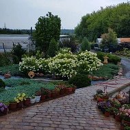 Макаровский питомник