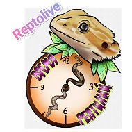 Reptolive | Жизнь рептилий