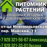 Саженцы Ставрополь
