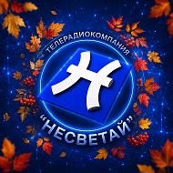 Телекомпания «Несветай» новости Новошахтинска