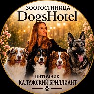 Гостиница, передержка для собак DogsHotel г.Калуга/ Питомник КАЛУЖСКИЙ БРИЛЛИАНТ (породы ВЕО, Аусси) г. Калуга / услуги кинолога / написание бизнес-планов 350000 руб для соц защиты