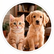 Животные🐶