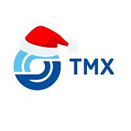 ТРАНСМАШХОЛДИНГ