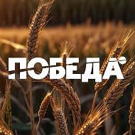 Газета "Победа"