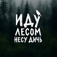 Птицы с Алёной Фиониной