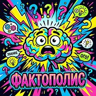 Фактополис 🧠