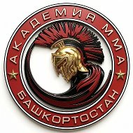 Академия ММА (Уфа)