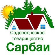Сарбаи НСТ