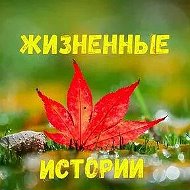 Жизненные истории