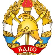 ВДПО 55