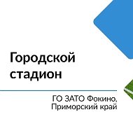 Городской стадион ЗАТО Фокино