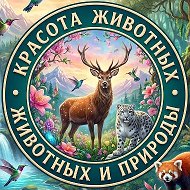 Канал Красота животных и природы в мессенджере MAX