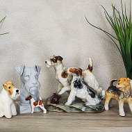 СОБАЧКИ НА ПОЛКУ