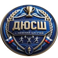МБУ ДО ДЮСШ с.Нижний Цасучей